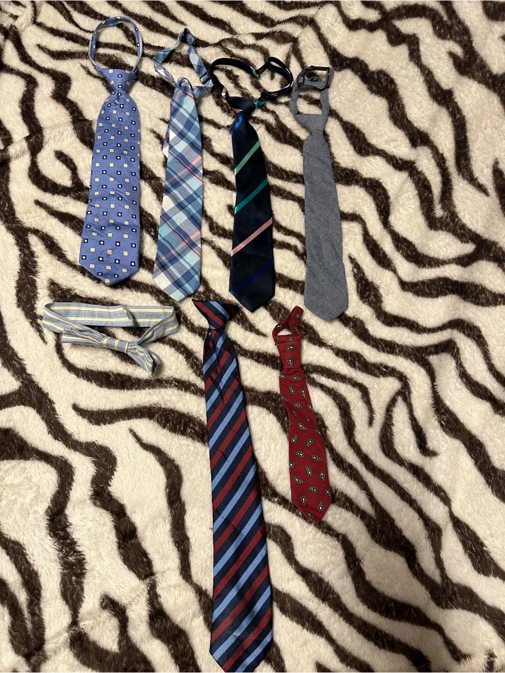 Little Boys Assorted Blue and Red Neck Ties